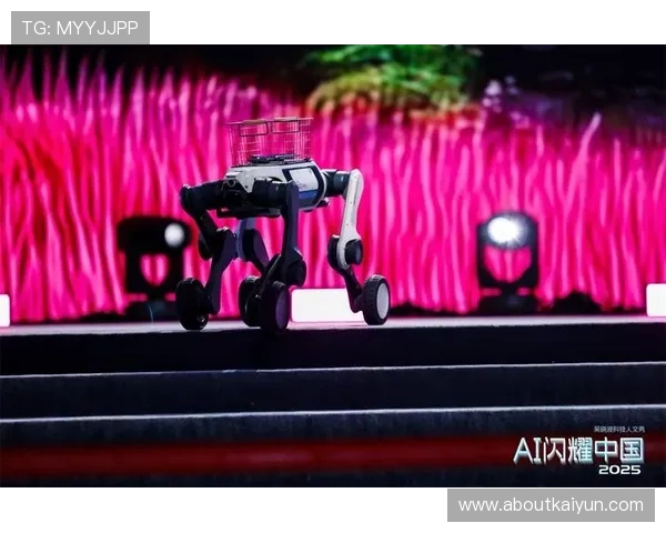 开云真人娱乐人：结合科技创新推动真人娱乐行业持续发展